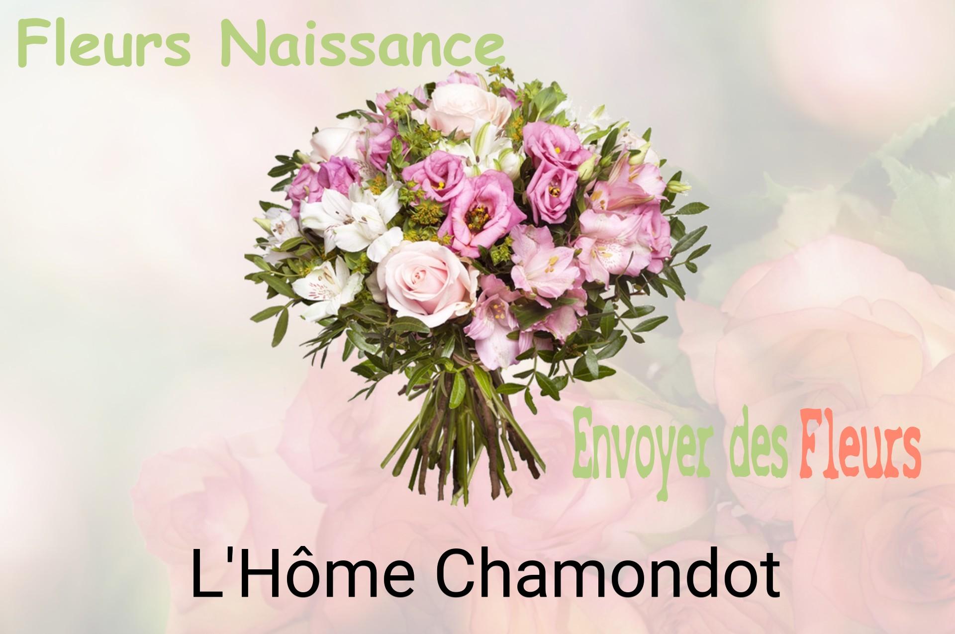 Bouquet de fleurs de naissance livré à L'Hôme-Chamondot
